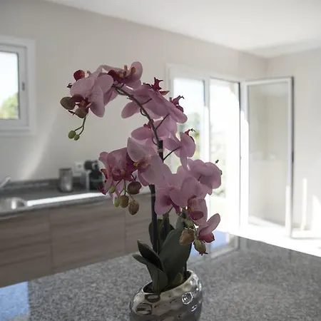 Villa 2 St Paul De Vence Villa Nice
